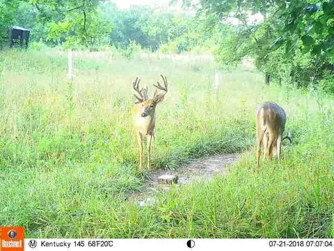 0 Mann Rd, Mount Olivet, KY 41064 photo 42