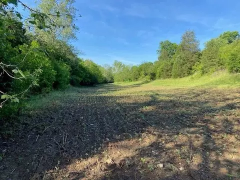 0 Mann Rd, Mount Olivet, KY 41064 photo 10