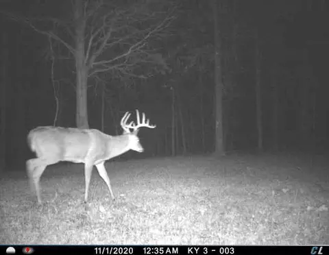 0 Mann Rd, Mount Olivet, KY 41064 photo 30