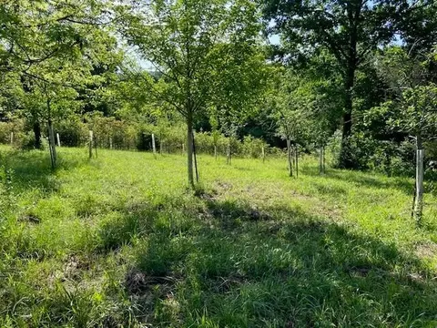 0 Mann Rd, Mount Olivet, KY 41064 photo 6