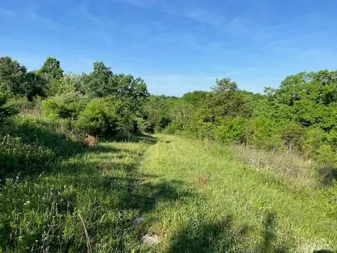 0 Mann Rd, Mount Olivet, KY 41064 photo 8