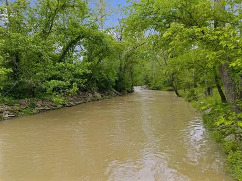 View/Area - 925 Lockmier Rd, Augusta, KY 41002 photo 4 of 10