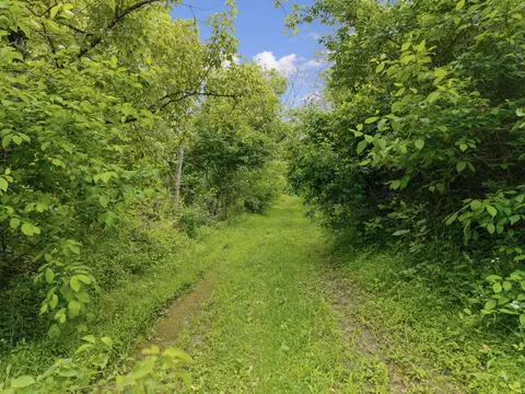 Other - 925 Lockmier Rd, Augusta, KY 41002 photo 1 of 6