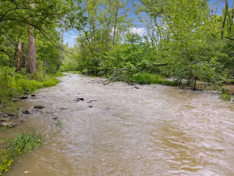 View/Area - 925 Lockmier Rd, Augusta, KY 41002 photo 2 of 10