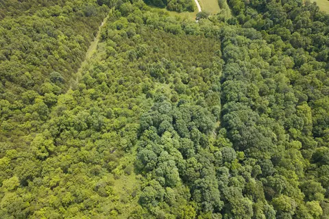 0 Old Ragtown Rd, Corinth, KY 41010 photo 3