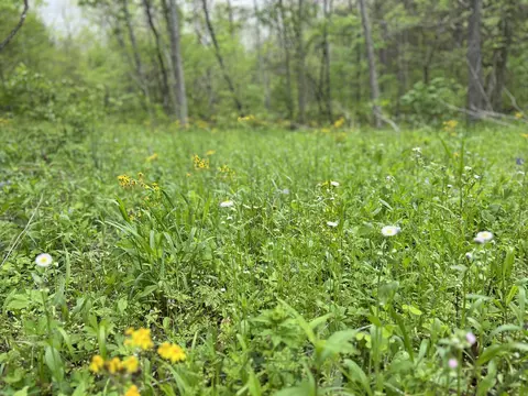 0 Old Ragtown Rd, Corinth, KY 41010 photo 10
