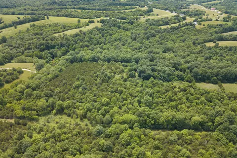 0 Old Ragtown Rd, Corinth, KY 41010 photo 6