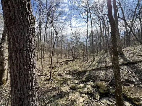 0 Old Ragtown Rd, Corinth, KY 41010 photo 12