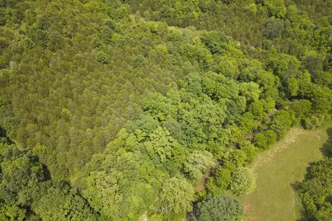 0 Old Ragtown Rd, Corinth, KY 41010 photo 5
