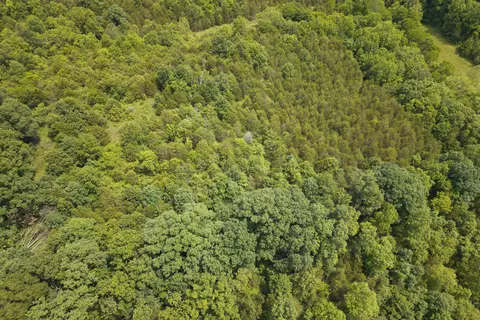0 Old Ragtown Rd, Corinth, KY 41010 photo 4