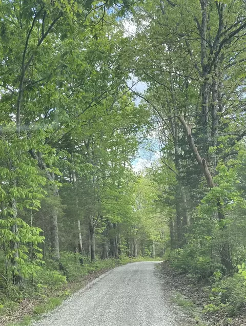 0 Old Ragtown Rd, Corinth, KY 41010 photo 8
