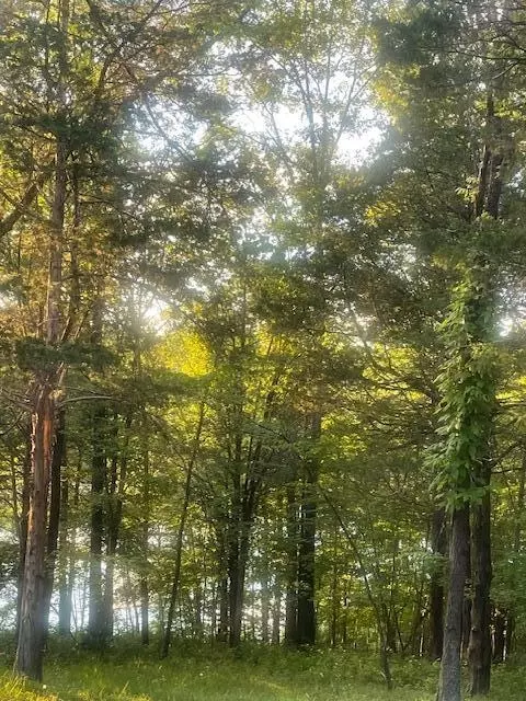 34 Acre Buckeye Hills Rd, Falmouth, KY 41040