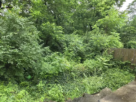 Exterior - 353 Bond St, Covington, KY 41016 photo 6 of 7