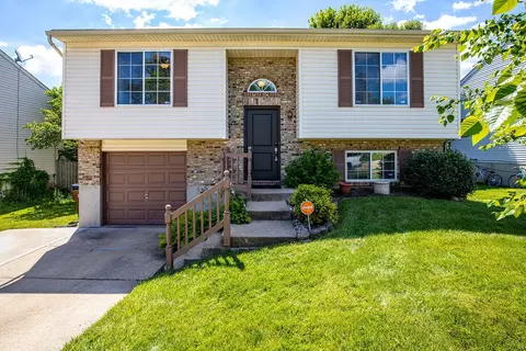 3655 Mitten Dr, Elsmere, KY 41018