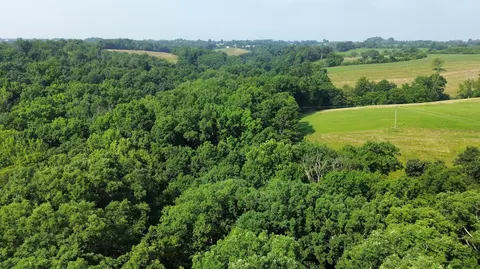 277 Needham Ln, Dry Ridge, KY 41035