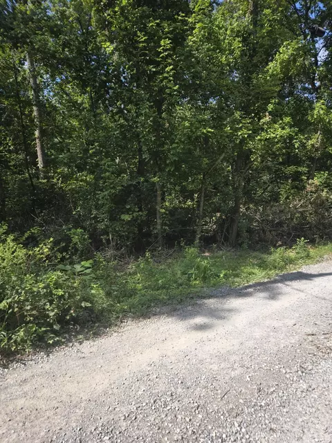 00 Corinth Shore Dr, Corinth, KY 41010 photo 7