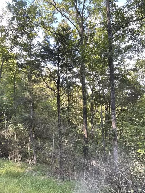 1286 E Low Gap Rd, Cold Spring, KY 41076 photo 12