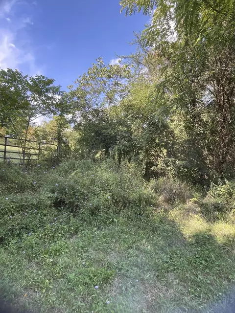 1286 E Low Gap Rd, Cold Spring, KY 41076 photo 10