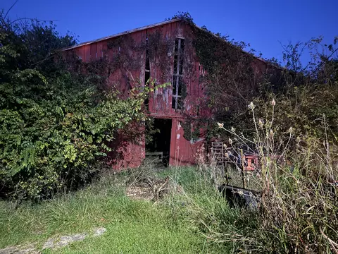 5 06 Acres Snake Lick Rd, Berry, KY 41003 photo 7