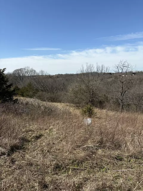5 06 Acres Snake Lick Rd, Berry, KY 41003 photo 3