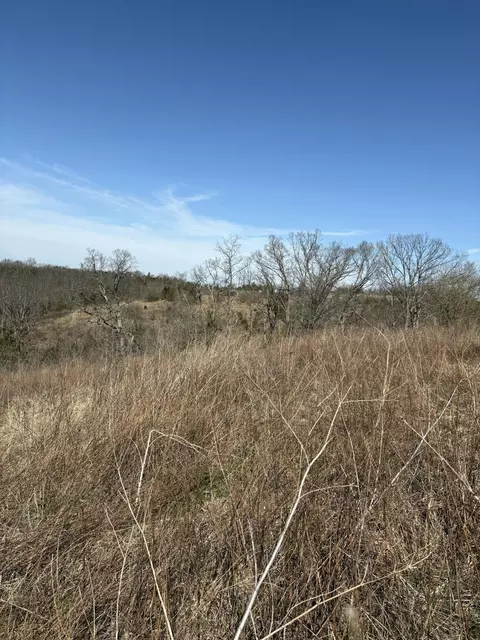 5 06 Acres Snake Lick Rd, Berry, KY 41003 photo 4