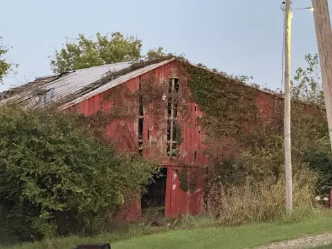 5 06 Acres Snake Lick Rd, Berry, KY 41003