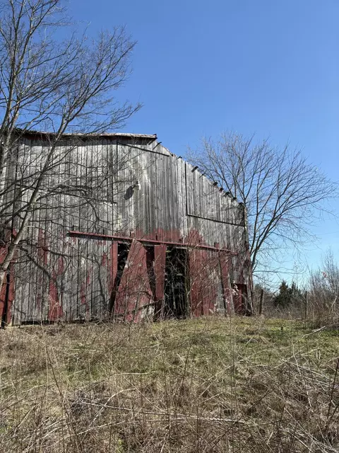 5 06 Acres Snake Lick Rd, Berry, KY 41003 photo 5