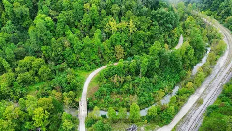View/Area - 9074 Middle Fork Wolf Creek Rd, Pilgrim, KY 41250 photo 3 of 6