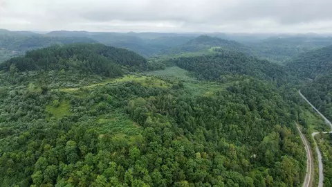 Other - 9074 Middle Fork Wolf Creek Rd, Pilgrim, KY 41250 photo 12 of 23