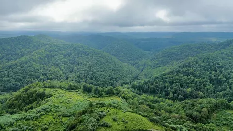 Other - 9074 Middle Fork Wolf Creek Rd, Pilgrim, KY 41250 photo 9 of 23