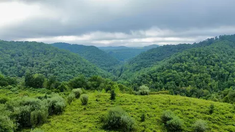 Other - 9074 Middle Fork Wolf Creek Rd, Pilgrim, KY 41250 photo 1 of 23