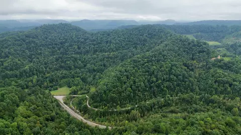 Other - 9074 Middle Fork Wolf Creek Rd, Pilgrim, KY 41250 photo 13 of 23