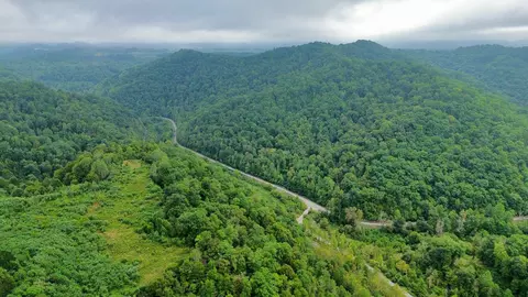 Other - 9074 Middle Fork Wolf Creek Rd, Pilgrim, KY 41250 photo 17 of 23