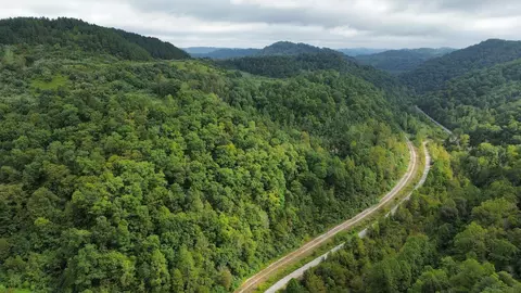 Other - 9074 Middle Fork Wolf Creek Rd, Pilgrim, KY 41250 photo 20 of 23