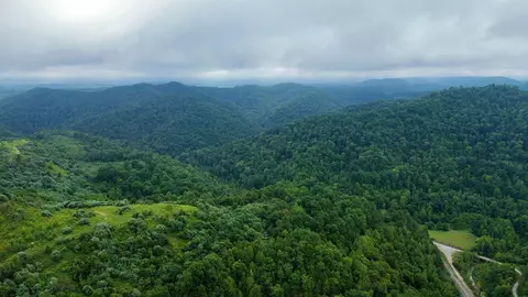Other - 9074 Middle Fork Wolf Creek Rd, Pilgrim, KY 41250 photo 22 of 23
