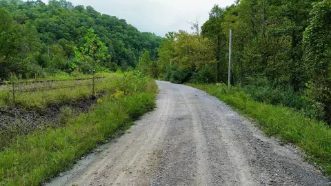 Other - 9074 Middle Fork Wolf Creek Rd, Pilgrim, KY 41250 photo 19 of 23