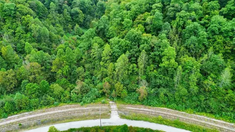 View/Area - 9074 Middle Fork Wolf Creek Rd, Pilgrim, KY 41250 photo 1 of 6