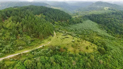 Other - 9074 Middle Fork Wolf Creek Rd, Pilgrim, KY 41250 photo 14 of 23