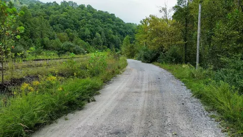 Exterior - 9074 Middle Fork Wolf Creek Rd, Pilgrim, KY 41250 photo 8 of 9