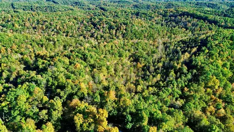 34 Clay Camp Rd # A, Grayson, KY 41143 photo 30