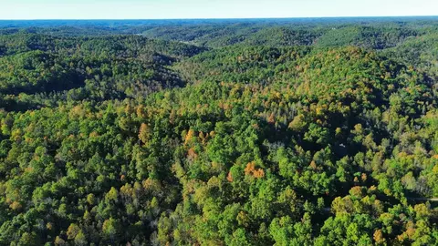 34 Clay Camp Rd # A, Grayson, KY 41143 photo 25