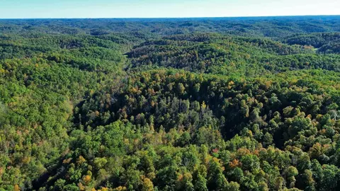 34 Clay Camp Rd # A, Grayson, KY 41143 photo 10