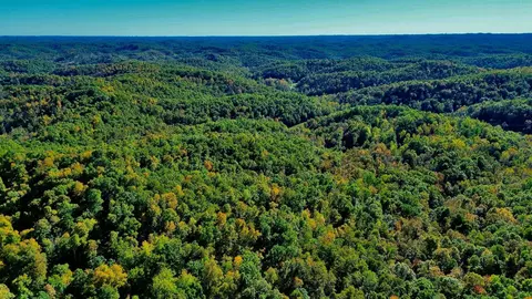 34 Clay Camp Rd # A, Grayson, KY 41143 photo 28