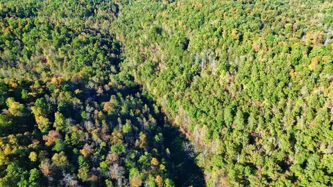 34 Clay Camp Rd # A, Grayson, KY 41143 photo 19