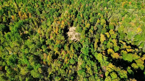 34 Clay Camp Rd # A, Grayson, KY 41143 photo 7