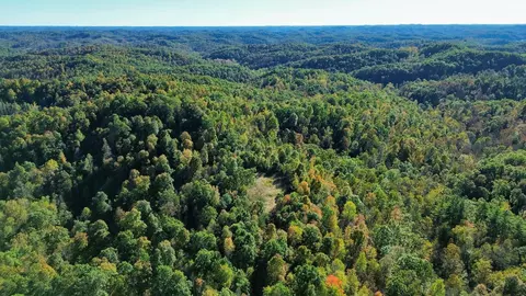 34 Clay Camp Rd # A, Grayson, KY 41143 photo 22
