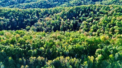 34 Clay Camp Rd # A, Grayson, KY 41143 photo 15