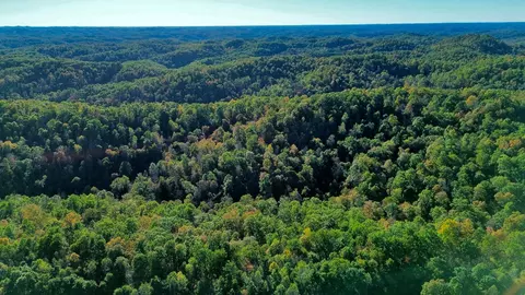 34 Clay Camp Rd # A, Grayson, KY 41143 photo 31