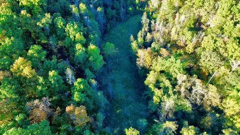 34 Clay Camp Rd # A, Grayson, KY 41143 photo 21
