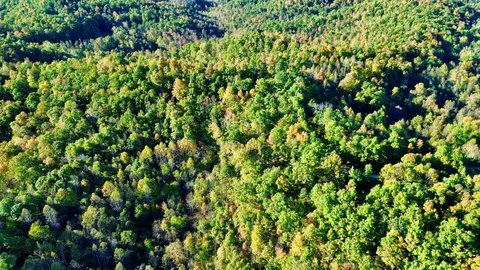 34 Clay Camp Rd # A, Grayson, KY 41143 photo 24